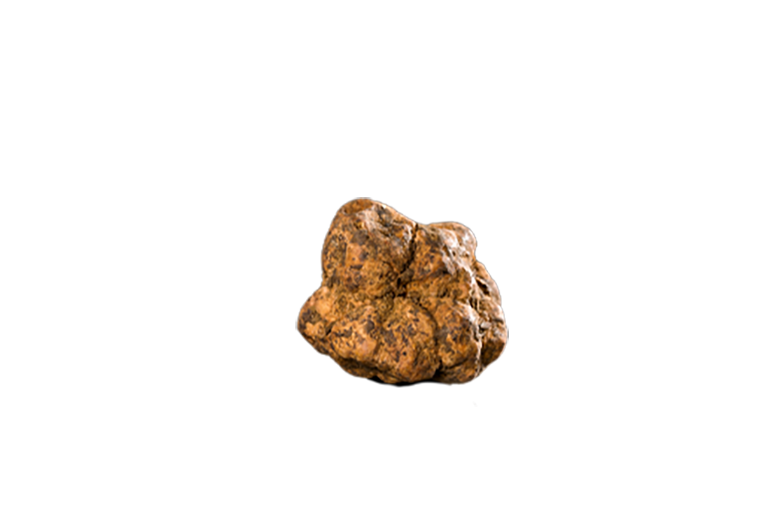 Tasting Truffles